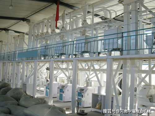 500噸面粉加工成套設備與機械加工技術解析